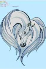 Jylisha - Arabian horse