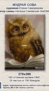 NaDiMa 118212-Wise owl