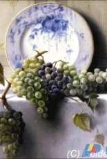 Golden Kite 2765 - Still Life with Grapes