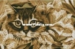 These eyes in front of by Yushchuk/Mully  XSD