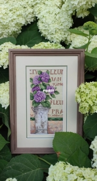 Dimensions 65092 Hydrangea Flora