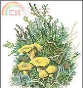 Permin Calendar 1983 Cantharellus Cibarius