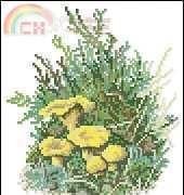 Permin Calendar 1983 Cantharellus Cibarius
