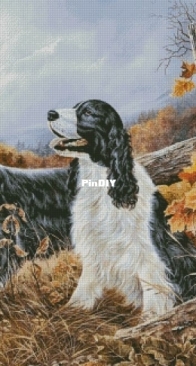 Chimera- Spaniels near the fence