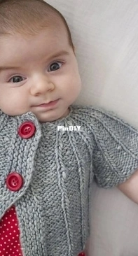Yoked Cardigan by Hannah Fettig