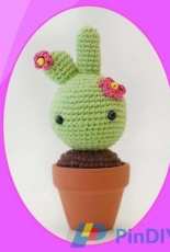 Mis Pequicosas - Baby Cactus - Free