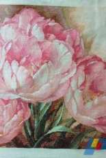 DIM 35175 Tulip Trio