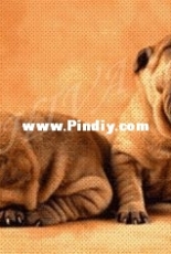 Vishivay.ru 372 - I Want to Sleep