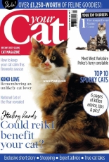 Your Cat - October 2018