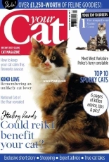 Your Cat - October 2018