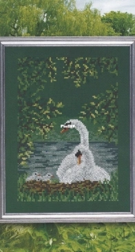 Swan Lake (Лебединое озеро) XSD