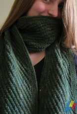 Jordans Scarf by Samantha Edgerly - Free