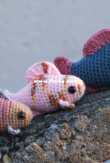 Little fish