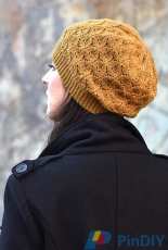 Cannetella by Woolly Wormhead