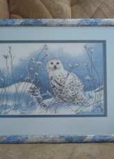 Northwind Owl