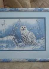 Northwind Owl