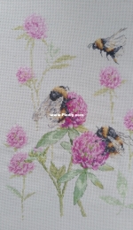 Bumblebees in Clover