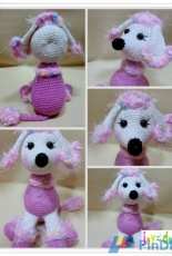 Pomp-a-Poodle