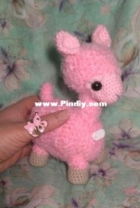 Alpaca Almina