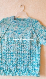 Mandatory Sweater by Dolly Laishram-Free
