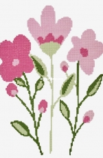 DMC - Pink Modern Floral - Free