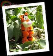 Fiber Doodles - K4TT - KISS Series - Bounce the Tiger