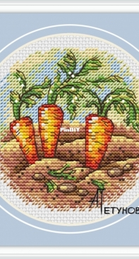 Carrot by Anna Petunova XSD