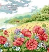 WIN-KCS-G017 a poppy