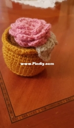 Potted rose