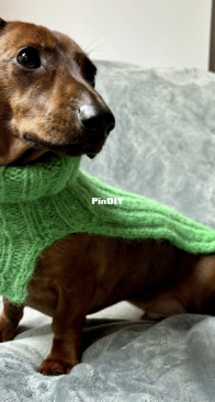 Make It Green Dog Cowl by CalicoRadio Knits - Free