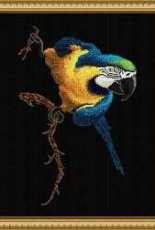 Parrot