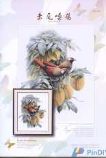 I Love CrossStitch ZXL-018 - Garrulax Milnei