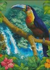 Panna PT-1197 - The Source of the Amazon