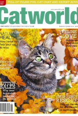 Cat World - November 2018