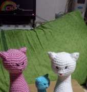 cat princess family