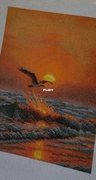 When the sun sets on a wave. RTO.