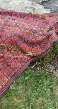 Copper Beech Shawl by Ruth Sorensen
