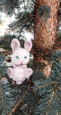 Bunny