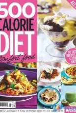 500 Calorie Complete Diet Plan - November / December 2016
