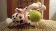 Damlatian puppy - needle felting