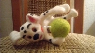 Damlatian puppy - needle felting