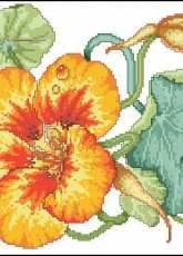 Country Nasturtium by Barbara Baatz from American School of Needlework ASN3712 Five Fabulous Flowers PCS