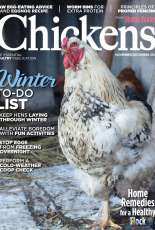 Chickens November-December 2017