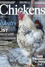 Chickens November-December 2017