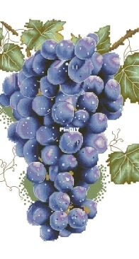 A bunch of grapes by Jeanne Dick XSD