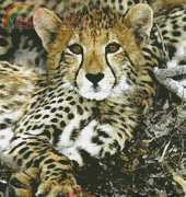 Artecy Cross Stitch - Baby Cheetah