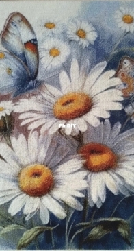 The Cheshire Cat - Chamomile 2