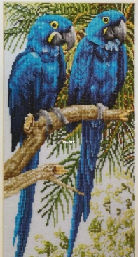 Hyacinth Macaws by Jayne Netley Mayhew from Cross Stitch Gold 63 PCS