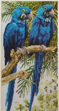 Hyacinth Macaws by Jayne Netley Mayhew from Cross Stitch Gold 63 PCS