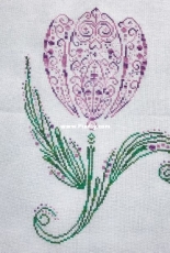 Tulip